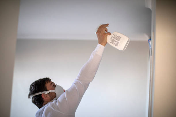 Best Home Mold Removal  in Indian Head Park, IL